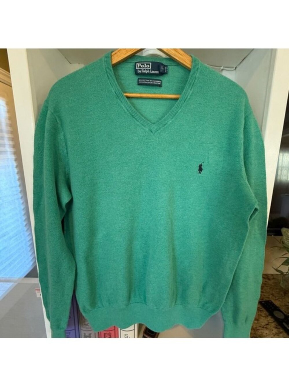 Polo by Ralph Lauren Men's Green V-Neck Sweater